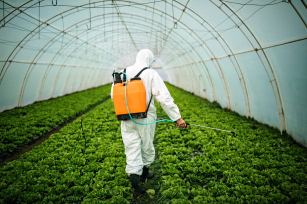 Pest Prevention Services in Huntersville, NC