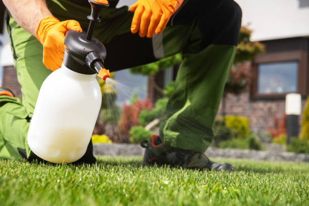 Best Affordable Pest Control Services  in Huntersville, NC