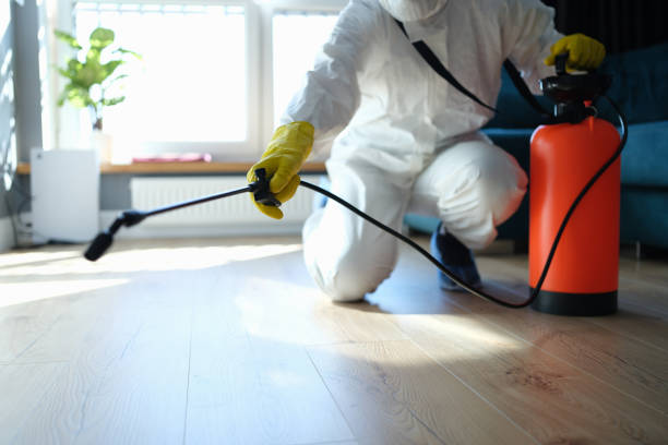 Reliable Huntersville, NC Pest Control Solutions